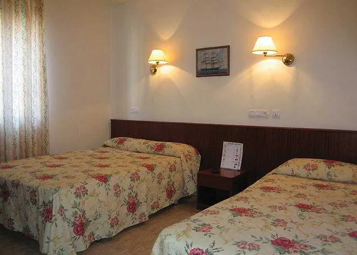 ベジャ ドロレス 2*